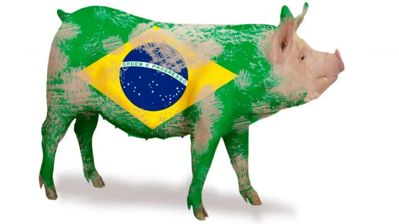 巴西2021猪肉出口再创历史记录