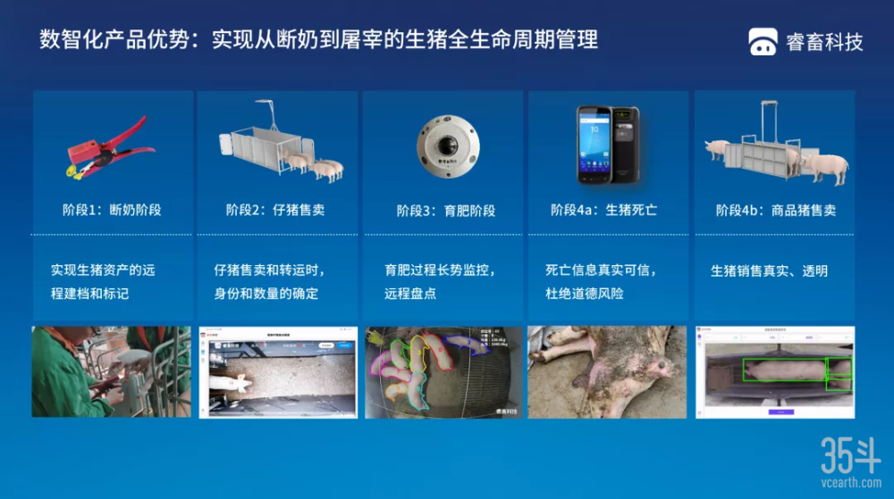 数字化养猪成趋势，2025年生猪市场将基本实现现代化？