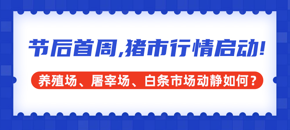 春节后首周，猪市行情缓慢启动！本周猪价怎么走？