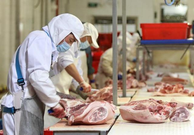 唐人神公司省外第一家全资生猪屠宰厂投产运行，日屠宰量1500头以上