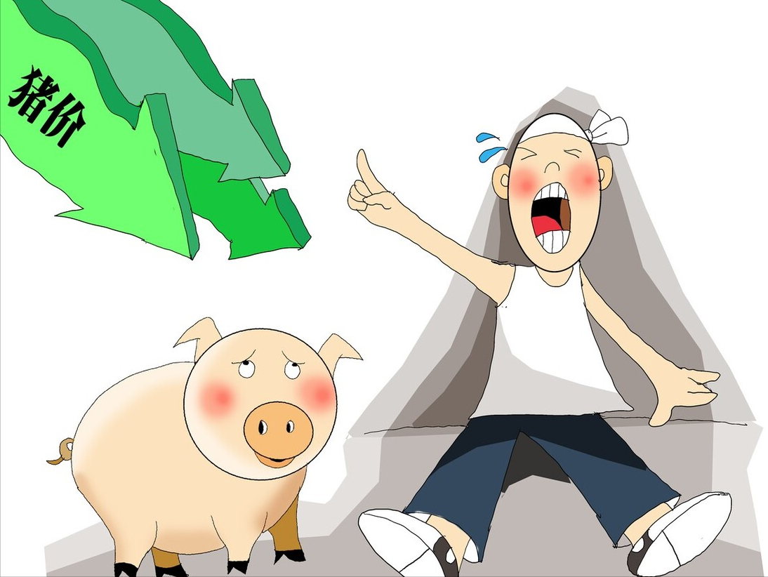 2月10猪价：生猪价格“风雨飘摇”，猪肉进口税率提升，下跌局势会被扭转吗？