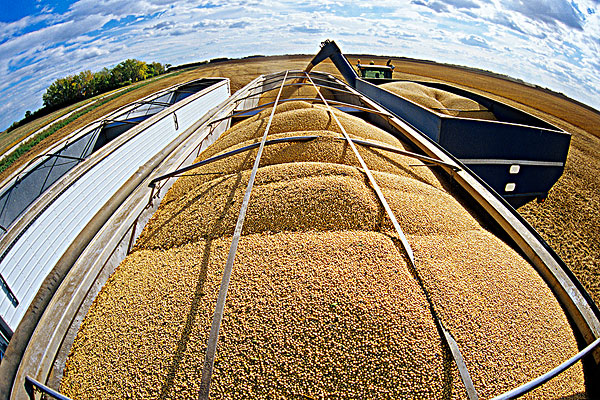 南美干旱影响持续，大豆供应偏紧，全球大豆供应压力持续？