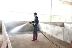 猪场不同区域如何选择消毒剂？常用消毒剂特点及场景的选择使用汇总！