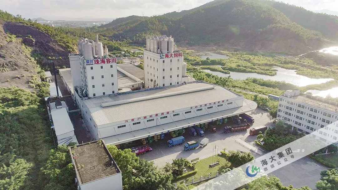 海大集团旗下多家分子公司传来捷报，获评龙头企业称号或荣登百强企业榜单！