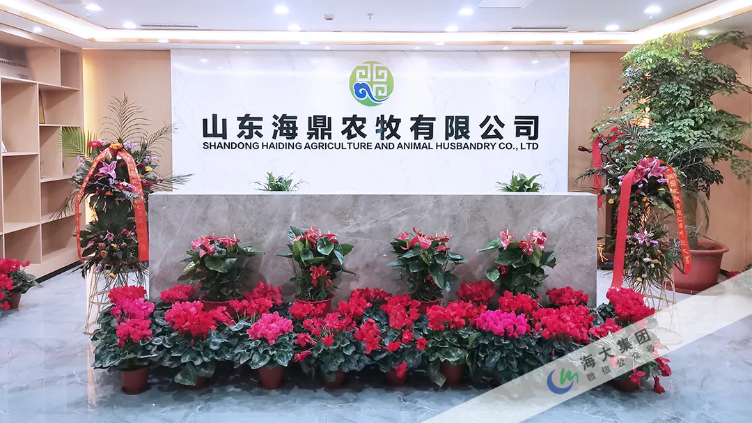 海大集团旗下多家分子公司传来捷报，获评龙头企业称号或荣登百强企业榜单！