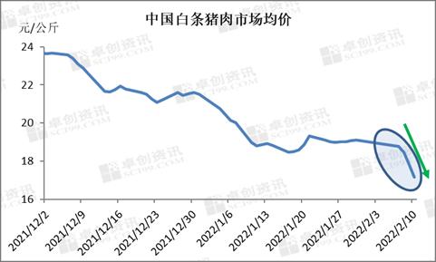 节后需求不振，生猪价格与猪肉价格齐跌！要降多久？