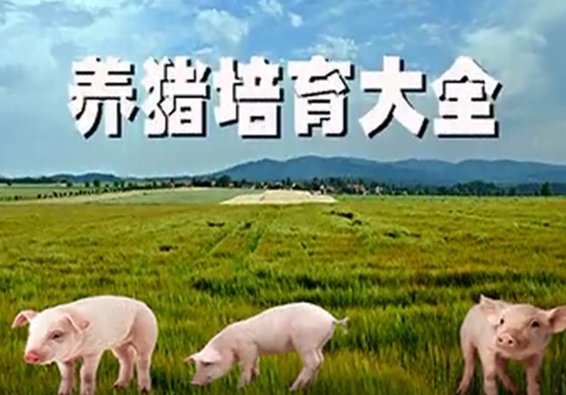 猪的品种介绍和繁殖技术，你居然还不清楚？