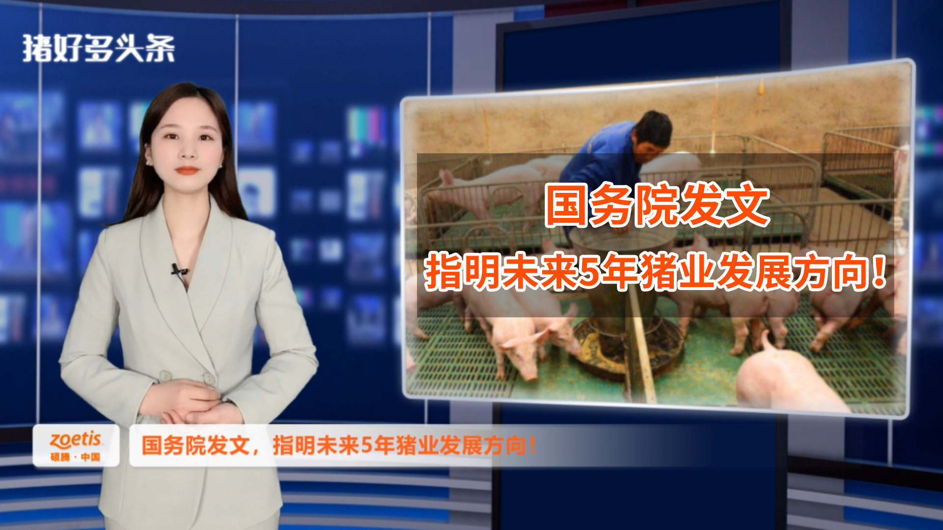 重磅！国务院发文，指明2021-2025猪业方向！小农户将有大发展？