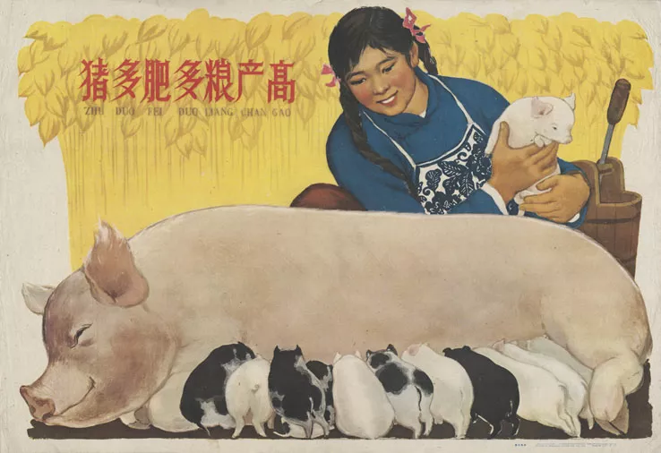 中国养猪历史