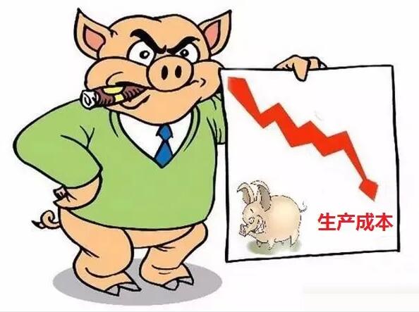 2月14日仔猪价格：猪价继续反弹，仔猪惨淡，猪市开启存量竞争？