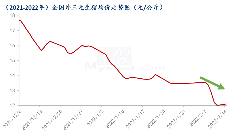 猪价震荡下滑，市场难有明显利好！元宵节能带来提振吗？