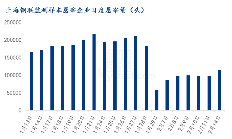 猪价震荡下滑，市场难有明显利好！元宵节能带来提振吗？