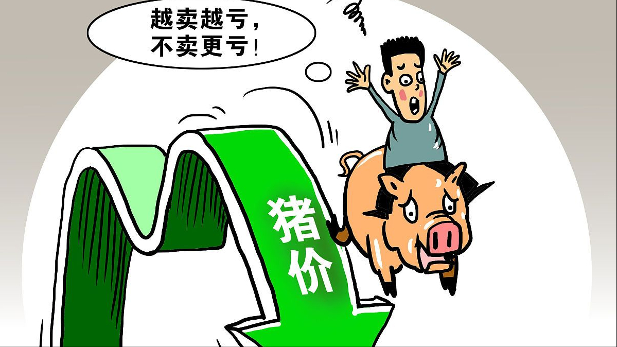 猪价跌而原料疯涨，今年养猪还靠谱吗？