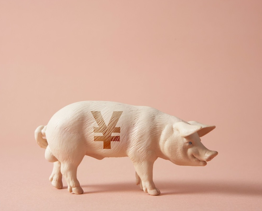 经济日报：生猪保供稳价，不能光说“熨平猪周期”！