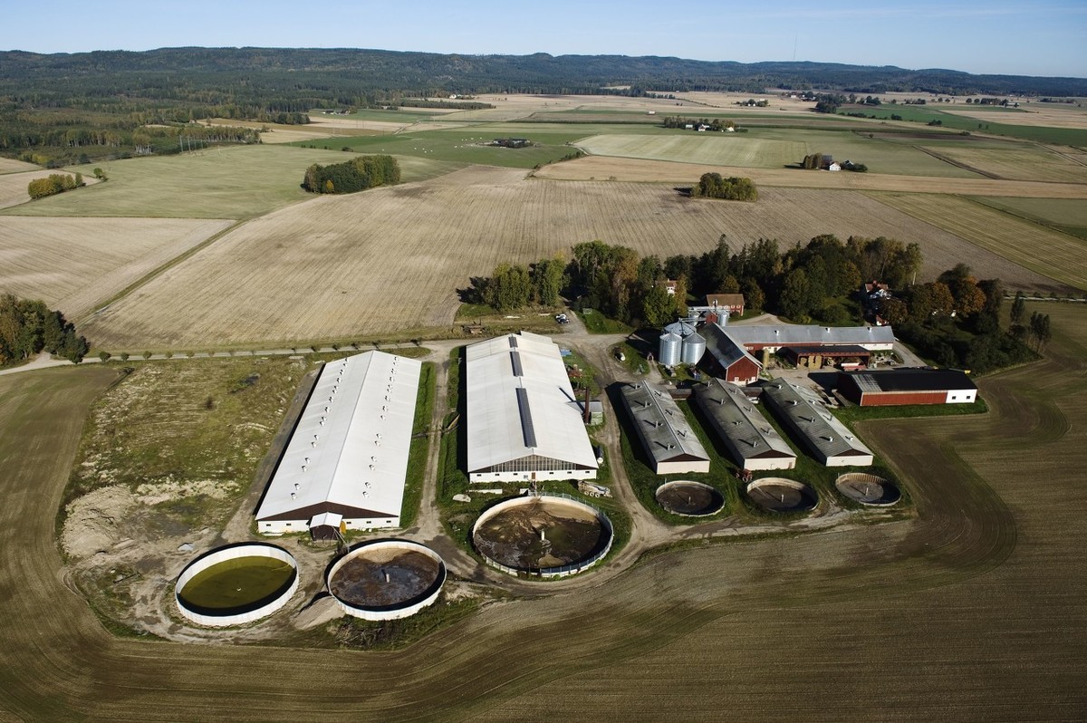 农业农村部：每年创建100个现代化畜禽养殖示范场，共创建1000个