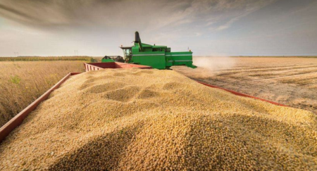 干旱影响，巴拉圭大豆产量可能降至500万吨，同比减少50%！