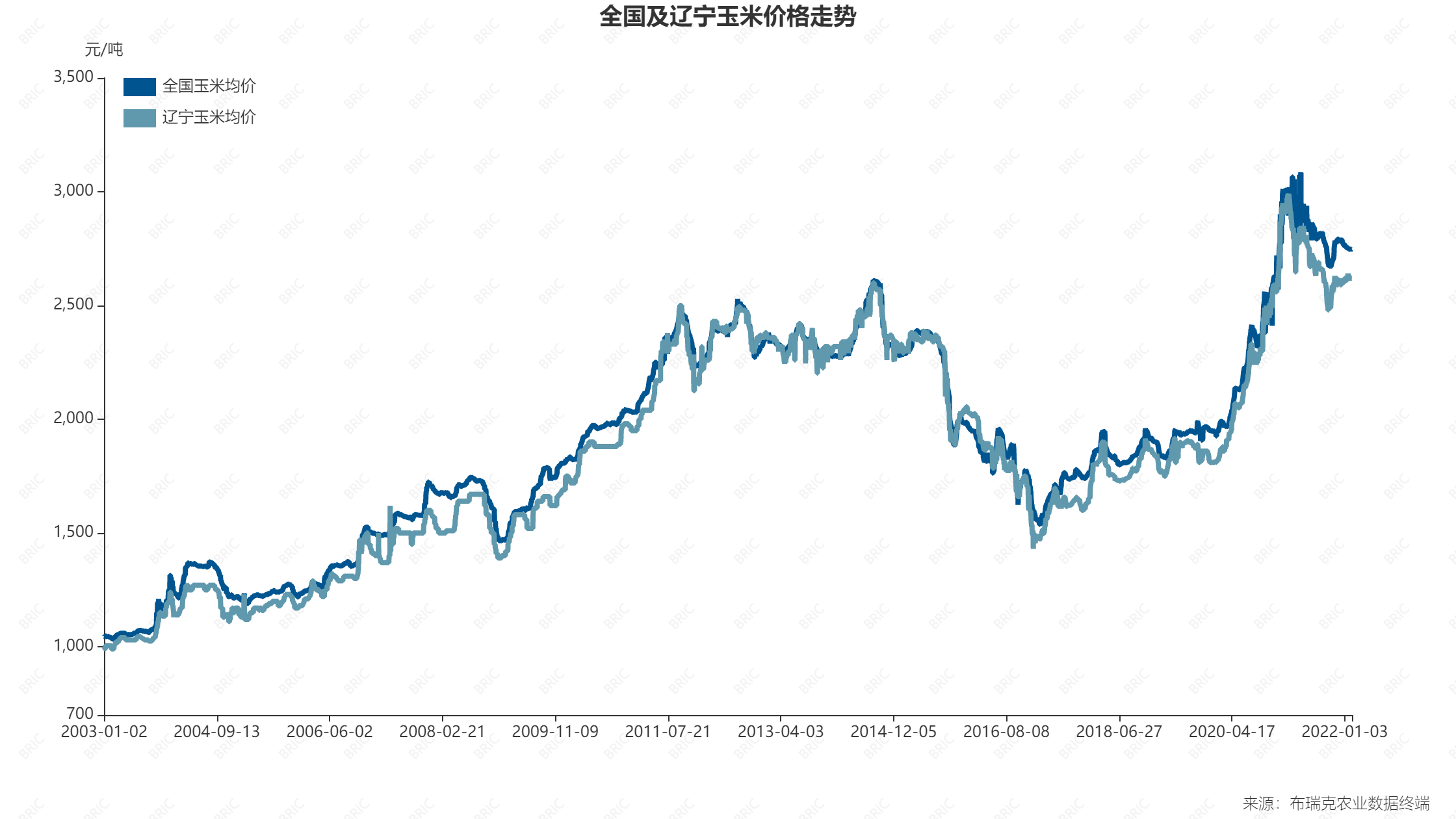 全国饲料价格“涨”声一片，政策密集出台改善粮食进口激增