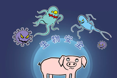 10年老猪农分享，养猪想致富，首先要“保命”！