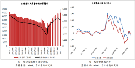 南美干旱、俄乌冲突，市场担忧情绪升温！玉米价格能否快速起飞？