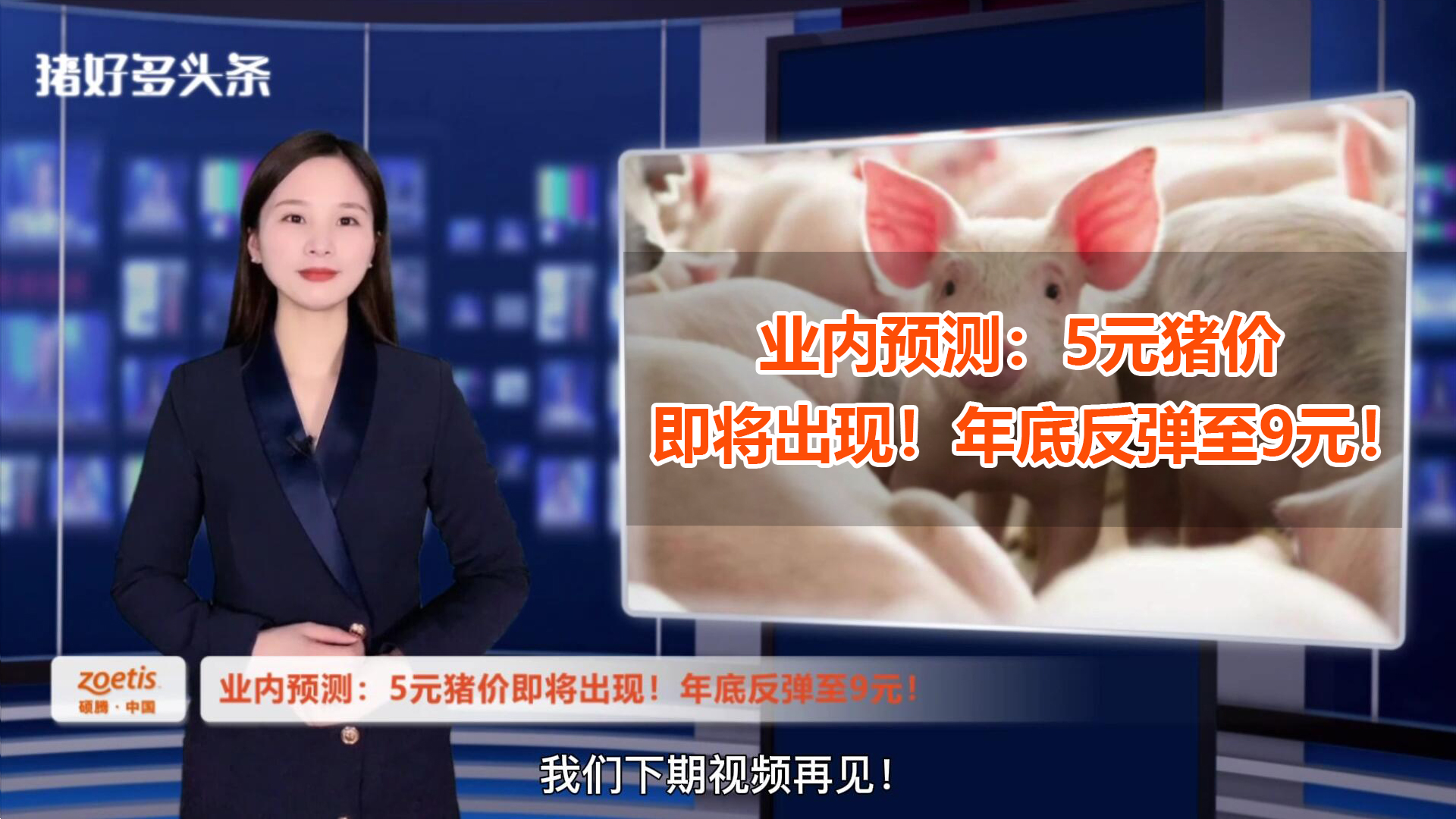 业内预测：三四月份猪价低至5元！2022年底反弹至9元/斤！