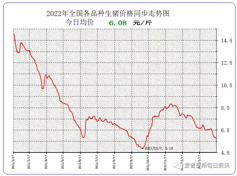 生猪价格