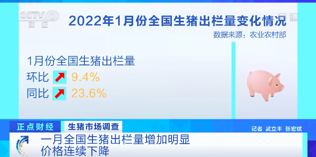 生猪价格连续下降！养殖户称出栏一头亏损300元！农业农村部：调控“能繁母猪存栏量”