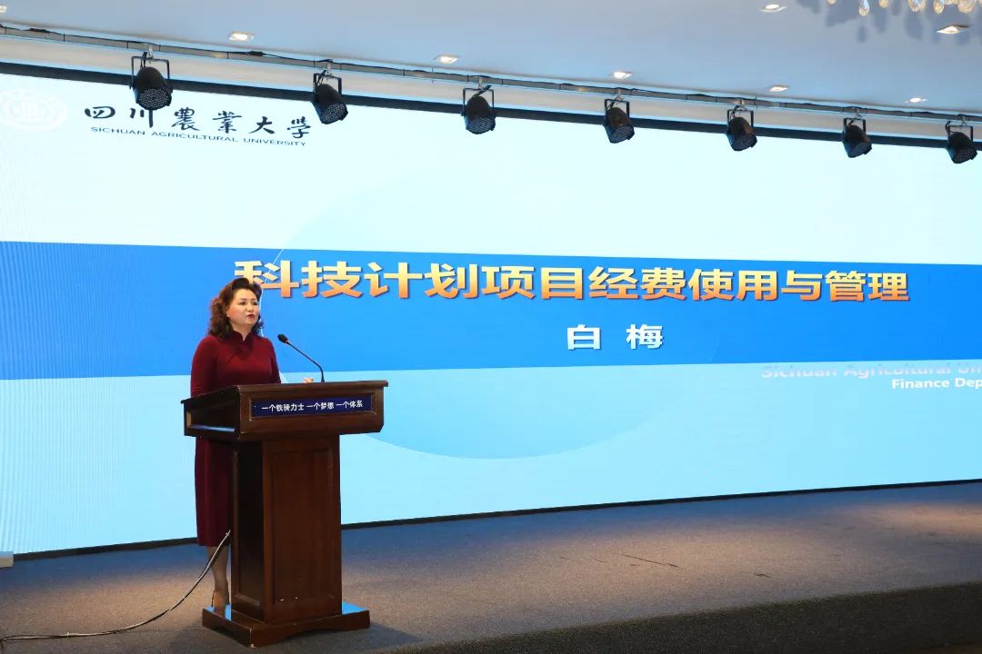 铁骑力士