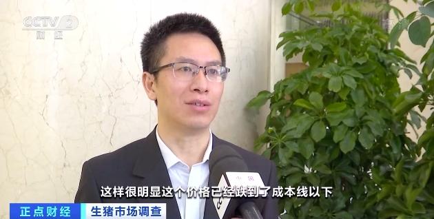 生猪价格连续下降！养殖户称出栏一头亏损300元！农业农村部：调控“能繁母猪存栏量”