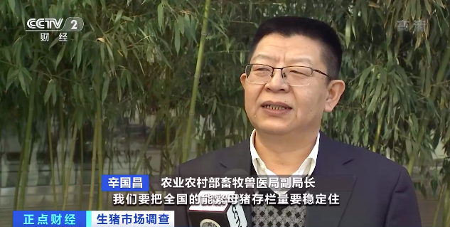 生猪价格连续下降！养殖户称出栏一头亏损300元！农业农村部出手了！