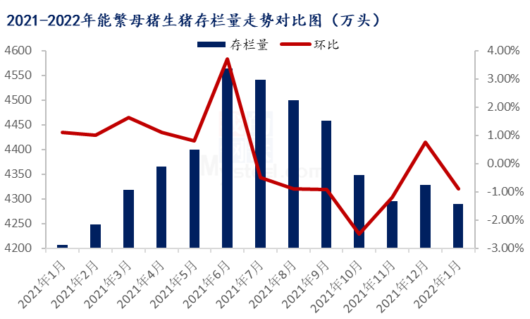 1月份国内能繁母猪存栏量4290万头产能收缩有限2022年生猪市场难反转