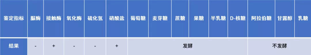 副猪危害大？如何防治？1个案例让你看明白！