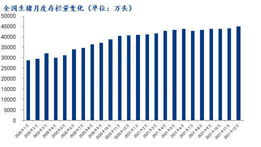 猪价逼近去年10月低点，大幅反弹行情能否重现？看4点分析！