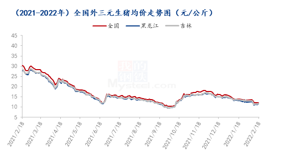 猪价逼近去年10月低点，大幅反弹行情能否重现？看4点分析！