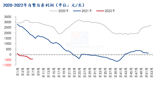 猪价逼近去年10月低点，大幅反弹行情能否重现？看4点分析！