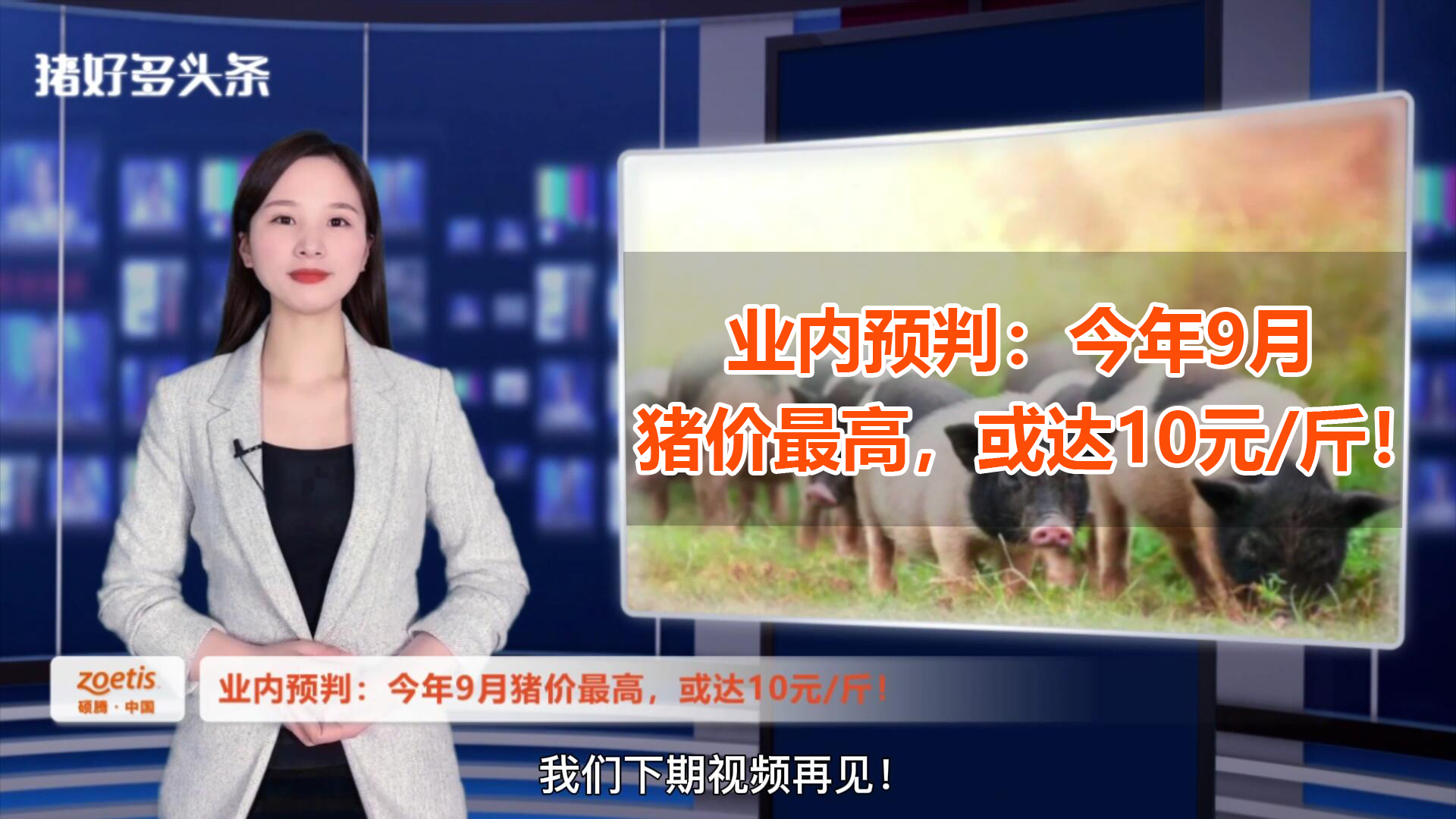 能繁母猪不低于3500万不养猪！最新预判：9月猪价最高10元/斤？