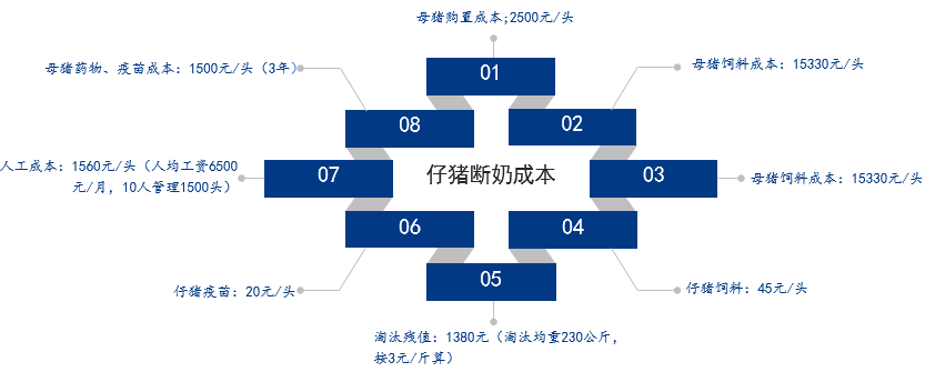 生猪价格低于成本线，养殖连月亏损！散养户会知难而退？
