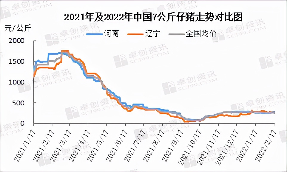 仔猪补栏情绪不一，后期走势如何？