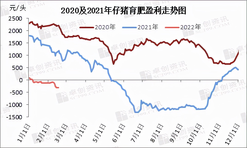 仔猪补栏情绪不一，后期走势如何？