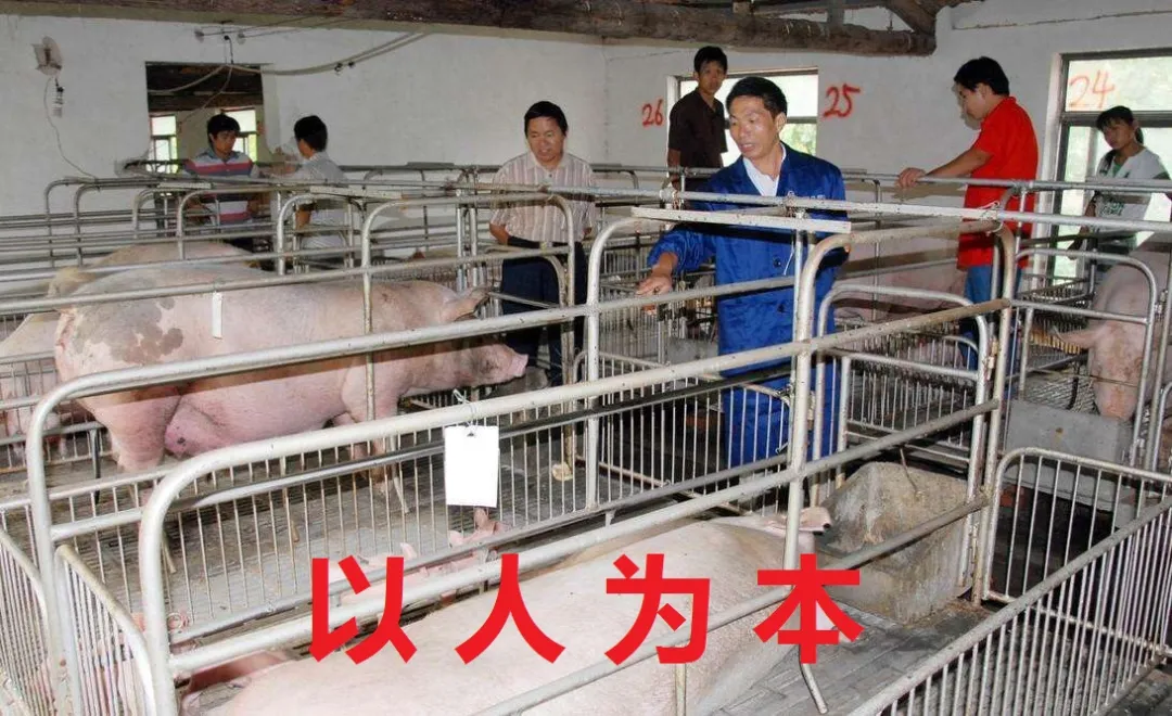 逆势布局！猪企扩产出新招，牧原血拼、正邦断臂求生、唐人神……一场“腥风血雨”即将开启