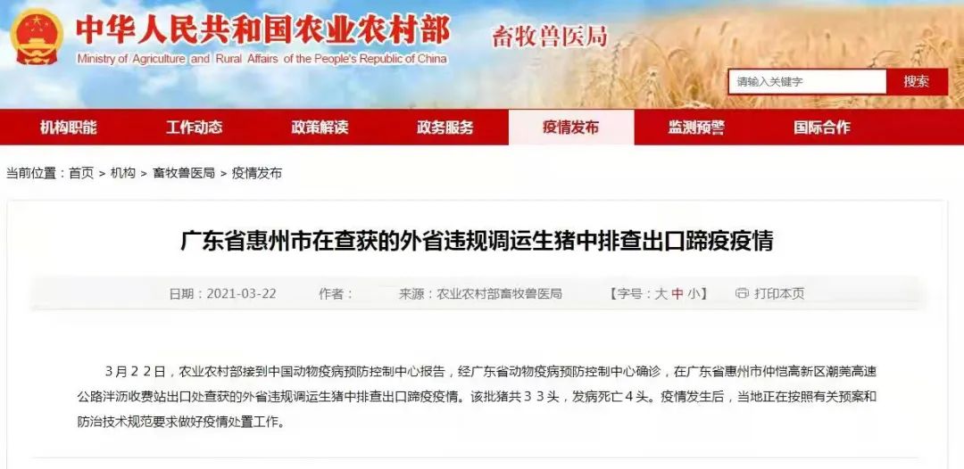 从2021年农业农村部通报的口蹄疫疫情中，我们可以得出哪些启示？