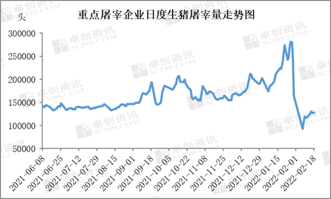 收储等多重利好提振，为何2022开年猪价依旧难涨？