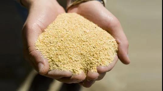 牧原、天邦如何应对2022年豆粕暴涨局面？
