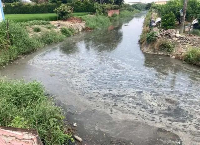 中央一号文件重要信号！发展楼房养猪、摆脱大豆进口依赖……这9点养猪人必须知道！