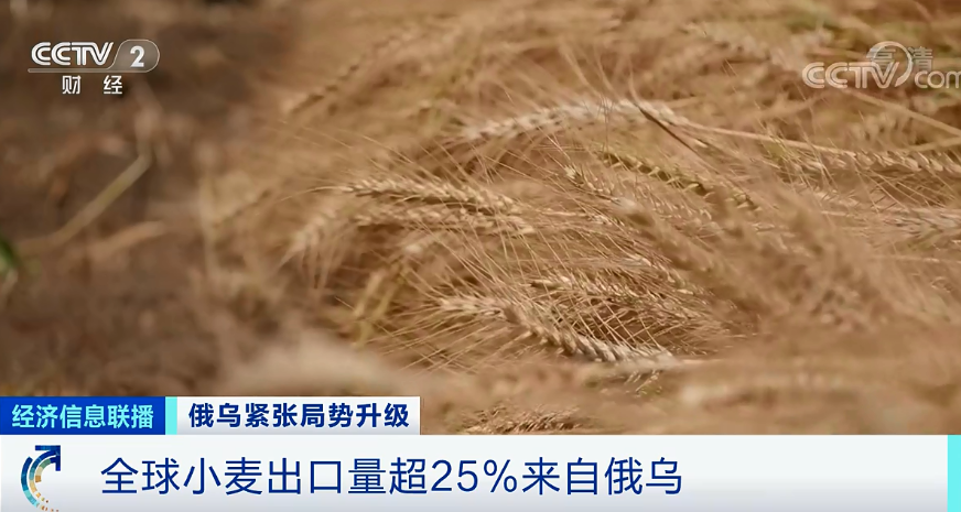俄乌紧张局势升级，“欧洲粮仓”受影响！国内豆粕疯涨至4900元/吨，国家出手拍卖大豆