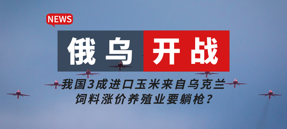 俄乌开战！我国3成进口玉米来自乌克兰，饲料涨价养殖业要躺枪？