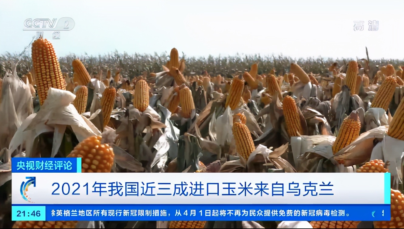 2021年我国近三成进口玉米来自乌克兰