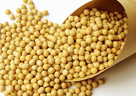 豆粕疯涨！国家出手调控，豆粕价格会下跌吗？