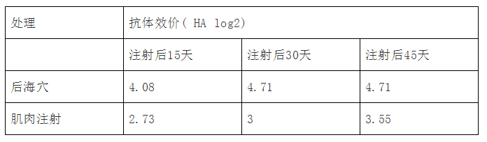 规模化猪场频发猪口蹄疫的根源何在？该如何制定免疫程序？