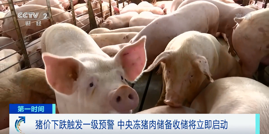 猪价下跌触发一级预警！中央冻猪肉储备收储将于本周启动，多只猪肉概念股涨停