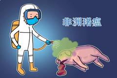 非洲猪瘟形势越发严峻，人、车、物、猪的防控谁才是关键？特驱集团有妙招！